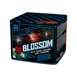 Blossom Blossom