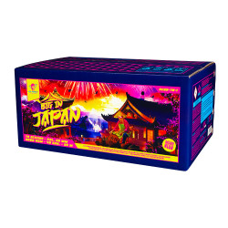 Big in Japan